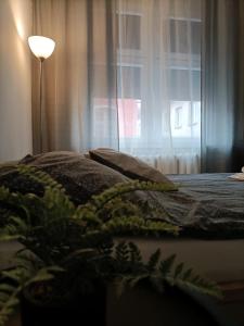 Apartament Marysia Sławno