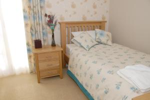 Superior Single Room room in The Carlton