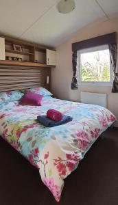 Blue Water Breaks - Dawlish Warren