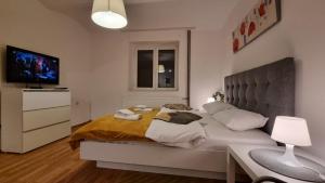 Apartments near Belgrade Waterfront