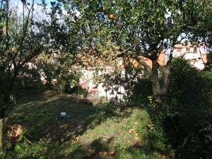 Su Ghindalu Guesthouse img16