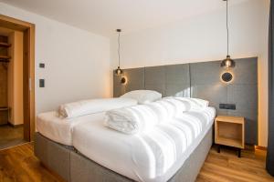 Apart Bergli inklusiv Silvretta Card