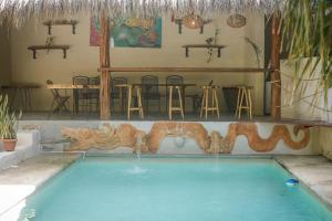 Bufo Alvarius Sanctuary Bacalar