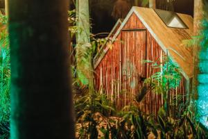 Bufo Alvarius Sanctuary Bacalar