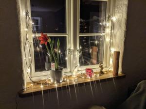 Beautiful and cosy house near the lake