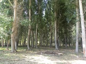 Cabaña Ecologica
