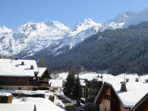 Appartement Rénové 3 Pièces au Centre de La Clusaz avec Balcon et Garage - FR-1-459-40