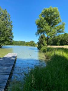 Maisons de vacances Gite des Etangs : photos des chambres