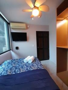 R.4-4 Lindo estudio ejecutivo en área turística.