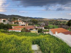 THE ROCK HOUSE - Beautiful countryside with mandarins oranges and olive trees,. Near Limassol at Eptagonia village.