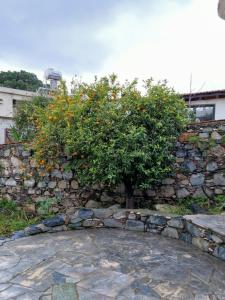 THE ROCK HOUSE - Beautiful countryside with mandarins oranges and olive trees,. Near Limassol at Eptagonia village.