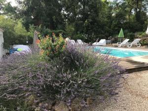 Villa OHA close Cannes,Nice, Valbonne , Opio