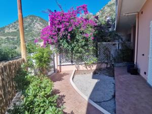 Pan Di Zucchero img11