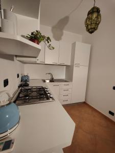 Pan Di Zucchero img19