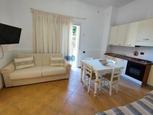 Pan Di Zucchero img23