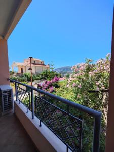 Pan Di Zucchero img24