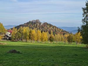 Rezydencja Green Hill - ekskluzywny dom w Karpaczu