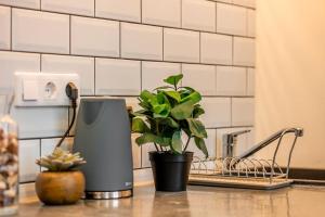 Brenda Design Home Budapest