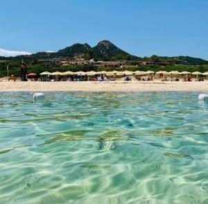 Free Beach Holiday Home img50
