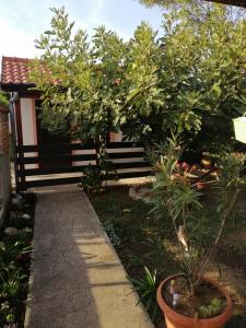 Holiday apartment in Privlaka with sea view, terrace, air conditioning, WiFi 3591-3