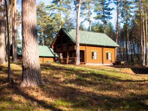 Four-Bedroom House room in Gromovo Park