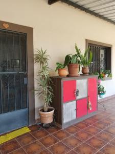 La Soñadita