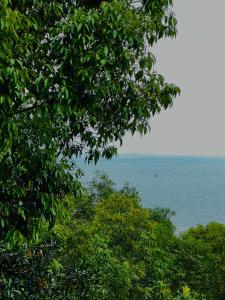 Ong Huong House Can 2