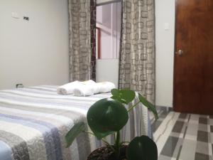 Mi Chanchamayo, family.