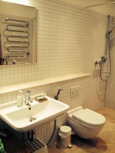 Apartment in Druskininkai Lithuania