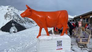 Appartements Appartement Velaer Valmorel : photos des chambres