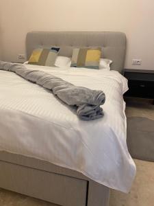 Apartament Timisoara 5