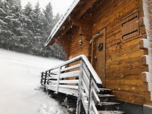 CHALET 6 PERSONNES SUR PISTE