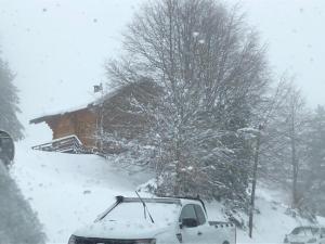 CHALET 6 PERSONNES SUR PISTE
