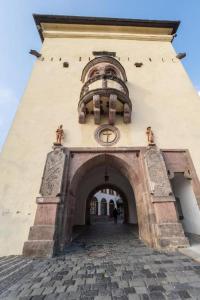 Apartmany Zechenterova