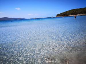 L'oasi di Angela2 (I.U.N. Q5074)