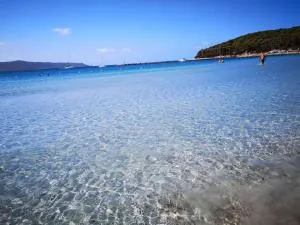 L'oasi di Angela2 (I.U.N. Q5074) - Palmas