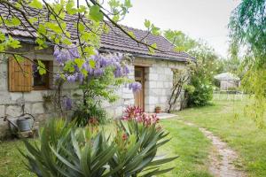 Maisons de vacances Maison d'amis Les Ave Maria : photos des chambres