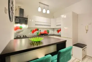 Art Apartament Krynica Zdrój Centrum - 皮夫尼奇纳