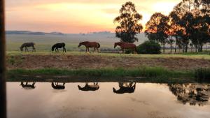 Echo Valley Guest Farm
