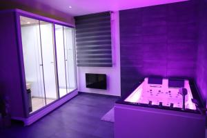 Appartements NARCISSE Balneo, Sauna, Hammam : photos des chambres
