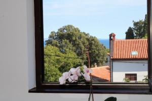 Apartment Una - 3hvězdičkové hotely ve městě Premantura