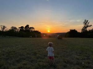 Maisons de vacances Le bon chemin Studio Stockholm : photos des chambres