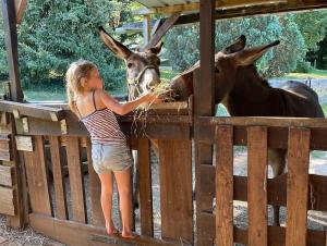 Maisons de vacances Le bon chemin Studio Stockholm : photos des chambres