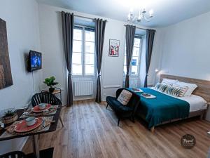 STUDIO TOUT CONFORT HOTEL de VILLE