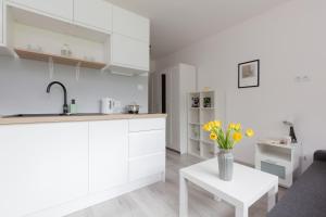 Pet-friendly Studio Apartment Batorego Warsaw by Renters