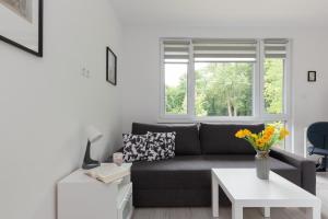 Pet-friendly Studio Apartment Batorego Warsaw by Renters