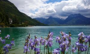 Maisons de vacances Maison de 3 chambres avec vue sur le lac et jardin clos a Talloires Montmin : photos des chambres