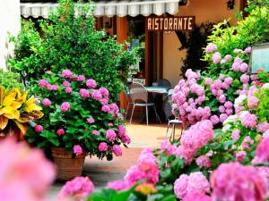 Affittacamere Dal Falco