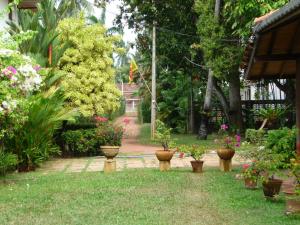 Cinnamon Bungalow