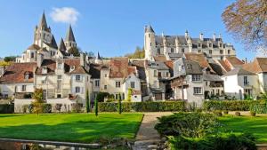 Maisons de vacances Maison de 3 chambres avec jardin amenage a Loches : photos des chambres